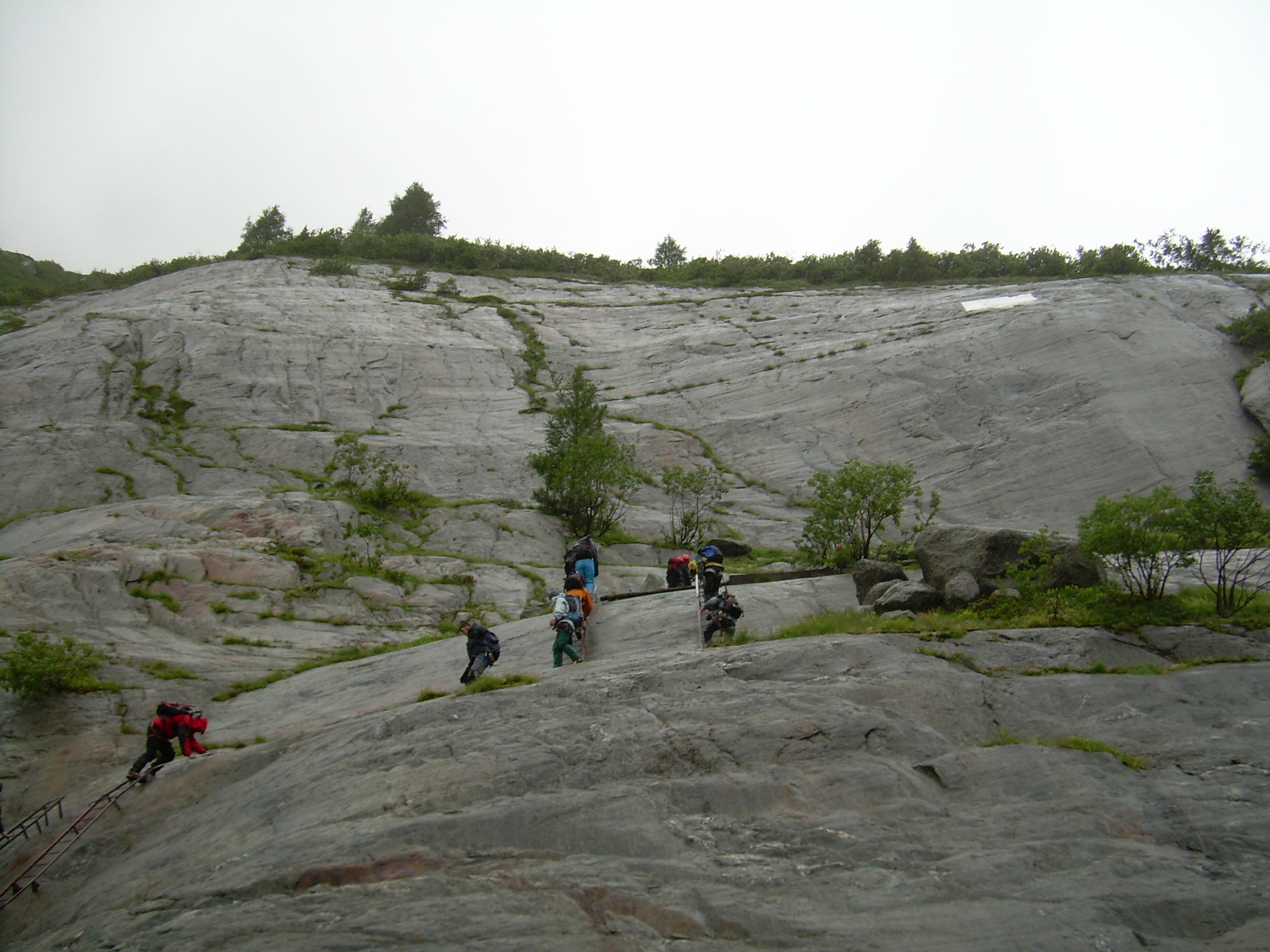 Ladders to Mer de Glace 2.JPG